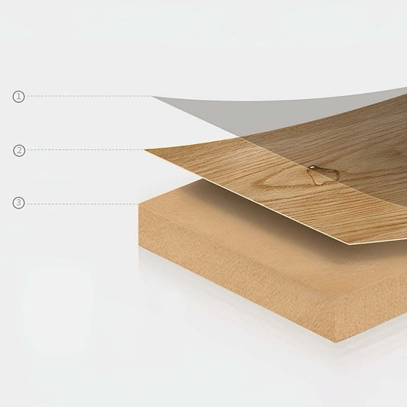 6-Slot Watch Display Box